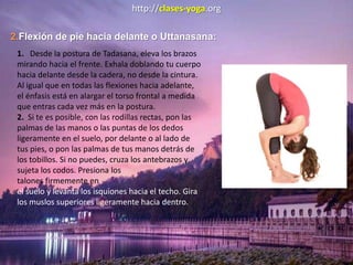 http://clases-yoga.org
2.Flexión de pie hacia delante o Uttanasana:
1. Desde la postura de Tadasana, eleva los brazos
mirando hacia el frente. Exhala doblando tu cuerpo
hacia delante desde la cadera, no desde la cintura.
Al igual que en todas las flexiones hacia adelante,
el énfasis está en alargar el torso frontal a medida
que entras cada vez más en la postura.
2. Si te es posible, con las rodillas rectas, pon las
palmas de las manos o las puntas de los dedos
ligeramente en el suelo, por delante o al lado de
tus pies, o pon las palmas de tus manos detrás de
los tobillos. Si no puedes, cruza los antebrazos y
sujeta los codos. Presiona los
talones firmemente en
el suelo y levanta los isquiones hacia el techo. Gira
los muslos superiores ligeramente hacia dentro.
 
