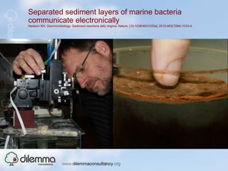 Invisible connections