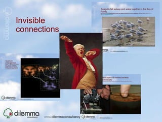  Seagulls fall asleep and wake together in the Bay of FundyBeauchamp et al. Sleeping gulls monitor the vigilance behaviour of their neighbours. Biology Letters, 2009; 5 (1): 9 DOI: 10.1098/rsbl.2008.0490