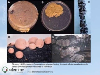 Invisible connections