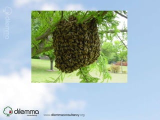 An idea whose time has come?