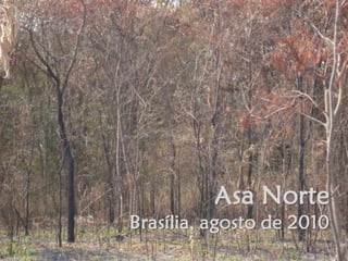 Brasília, Asa norte agosto 2010