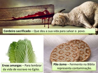 Cordeiro sacrificado – Que deu a sua vida para salvar o povo.
Pão ázmo – Fermento na Bíblia
representa contaminação.
Ervas amargas – Para lembrar
da vida de escravo no Egito.
 