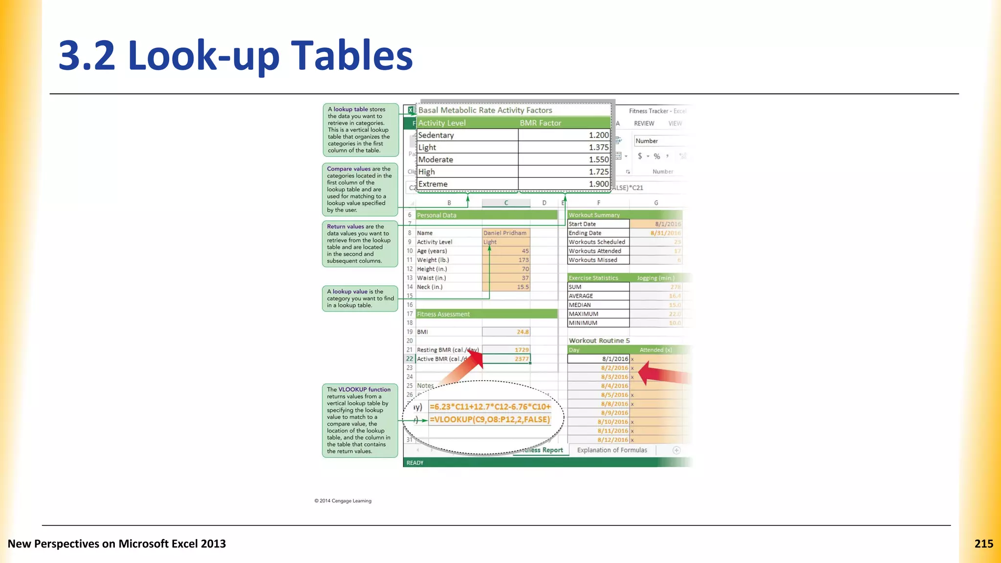 3.2 Look-up Tables
New Perspectives on Microsoft Excel 2013 215
 