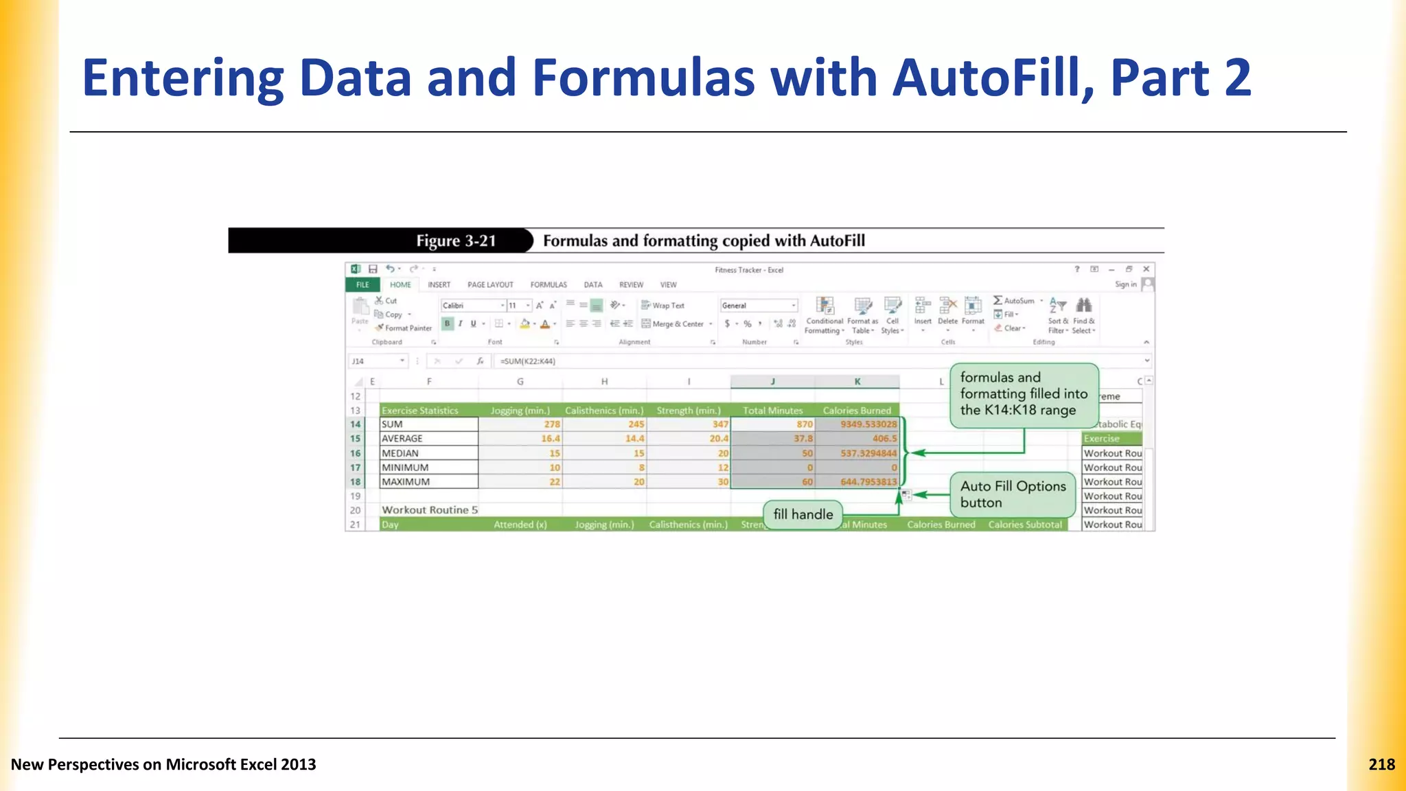 Entering Data and Formulas with AutoFill, Part 2
New Perspectives on Microsoft Excel 2013 218
 