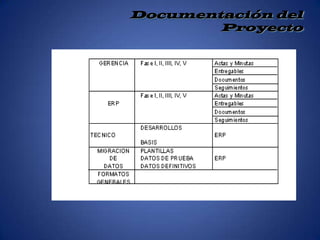 Se establece el Equipo de Proyecto.