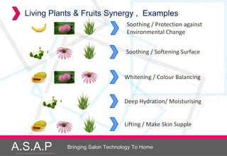 Living Plants & Fruits Synergy , Examples
                                                                            Soothing / Protection against
                                                                            Environmental Change


                                                                            Soothing / Softening Surface


                                                                            Whitening / Colour Balancing


                                                                           Deep Hydration/ Moisturising


                                                                            Lifting / Make Skin Supple


A.S.A.P
Accelerated Skin Augmentation and Perfection System
                                                      Bringing Salon Technology To Home
 