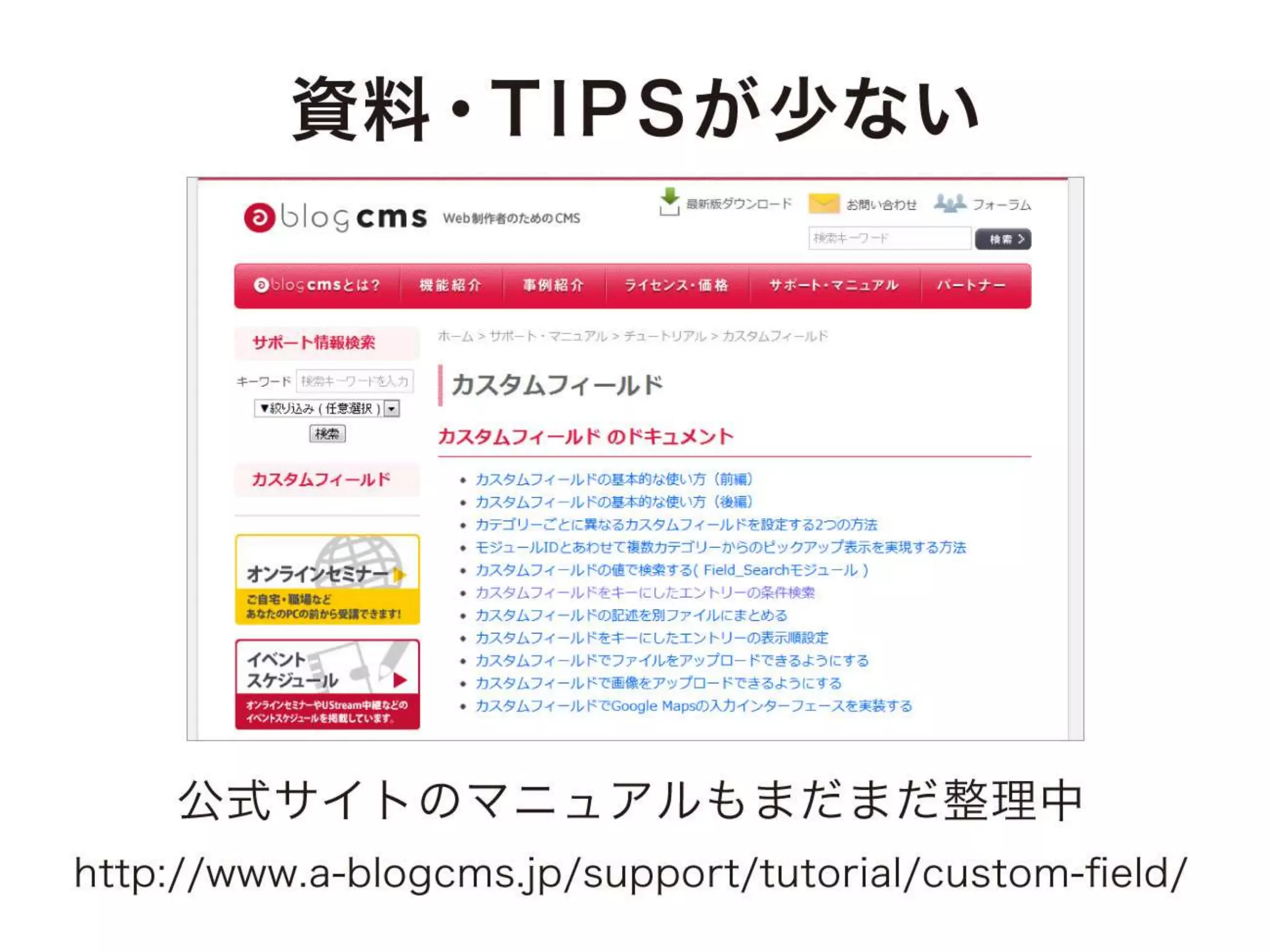 a-sap04「ちょっとすごい！a-blog cmsのカスタムフィールド」