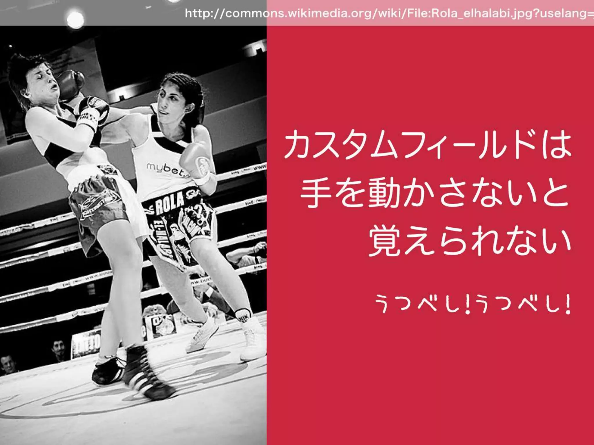 a-sap04「ちょっとすごい！a-blog cmsのカスタムフィールド」