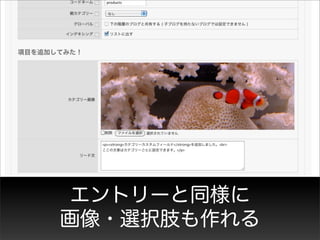エントリーと同様に
画像・選択肢も作れる
 