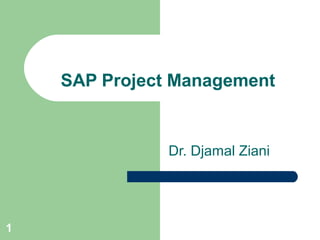 1
Dr. Djamal Ziani
SAP Project Management
 