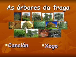 As árbores da fraga <ul><li>Canción </li></ul><ul><li>Xogo </li></ul>