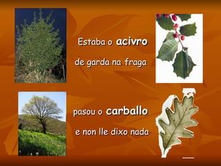 de garda na   fraga pasou o   carballo Estaba o   acivro e non lle dixo nada 