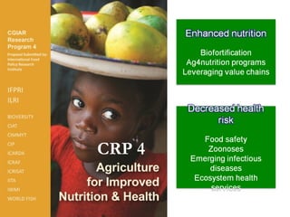 The new CGIAR: Food security, global change and international agricultural research for development