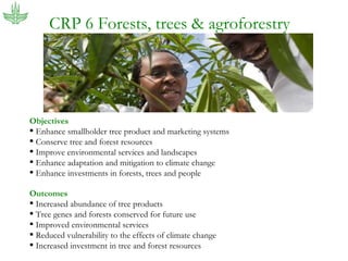 The new CGIAR: Food security, global change and international agricultural research for development