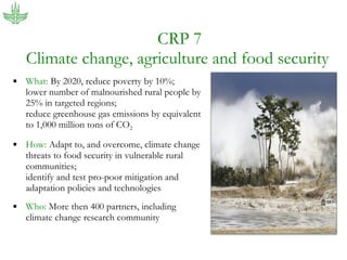 The new CGIAR: Food security, global change and international agricultural research for development
