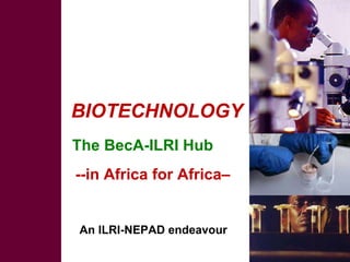 The new CGIAR: Food security, global change and international agricultural research for development