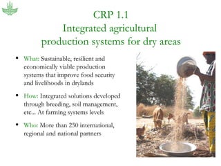 The new CGIAR: Food security, global change and international agricultural research for development