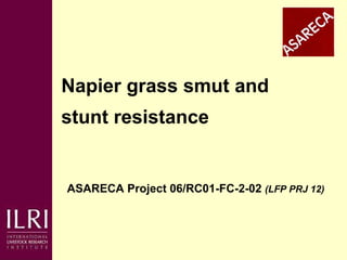 Napier grass smut and  stunt resistance ASARECA Project 06/RC01-FC-2-02  (LFP PRJ 12)   Presented at the ASARECA/ILRI Workshop on Mitigating the Impact of Napier Grass Smut and Stunt Diseases, Addis Ababa, June 2-3, 2010 