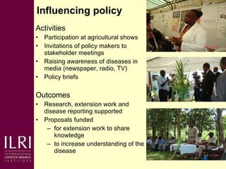 Napier grass smut and stunt resistance: Introducing the Project