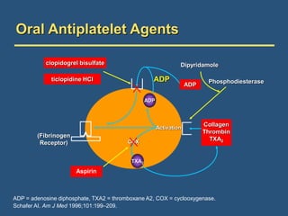Oral Antiplatelet Agents
Collagen
Thrombin
TXA2
Aspirin
ADP
(Fibrinogen
Receptor)
clopidogrel bisulfate
TXA2
ADP
Dipyridamole
Phosphodiesterase
ADP
Gp IIb/IIIa Activation
COX
ticlopidine HCl
ADP = adenosine diphosphate, TXA2 = thromboxane A2, COX = cyclooxygenase.
Schafer AI. Am J Med 1996;101:199–209.
 