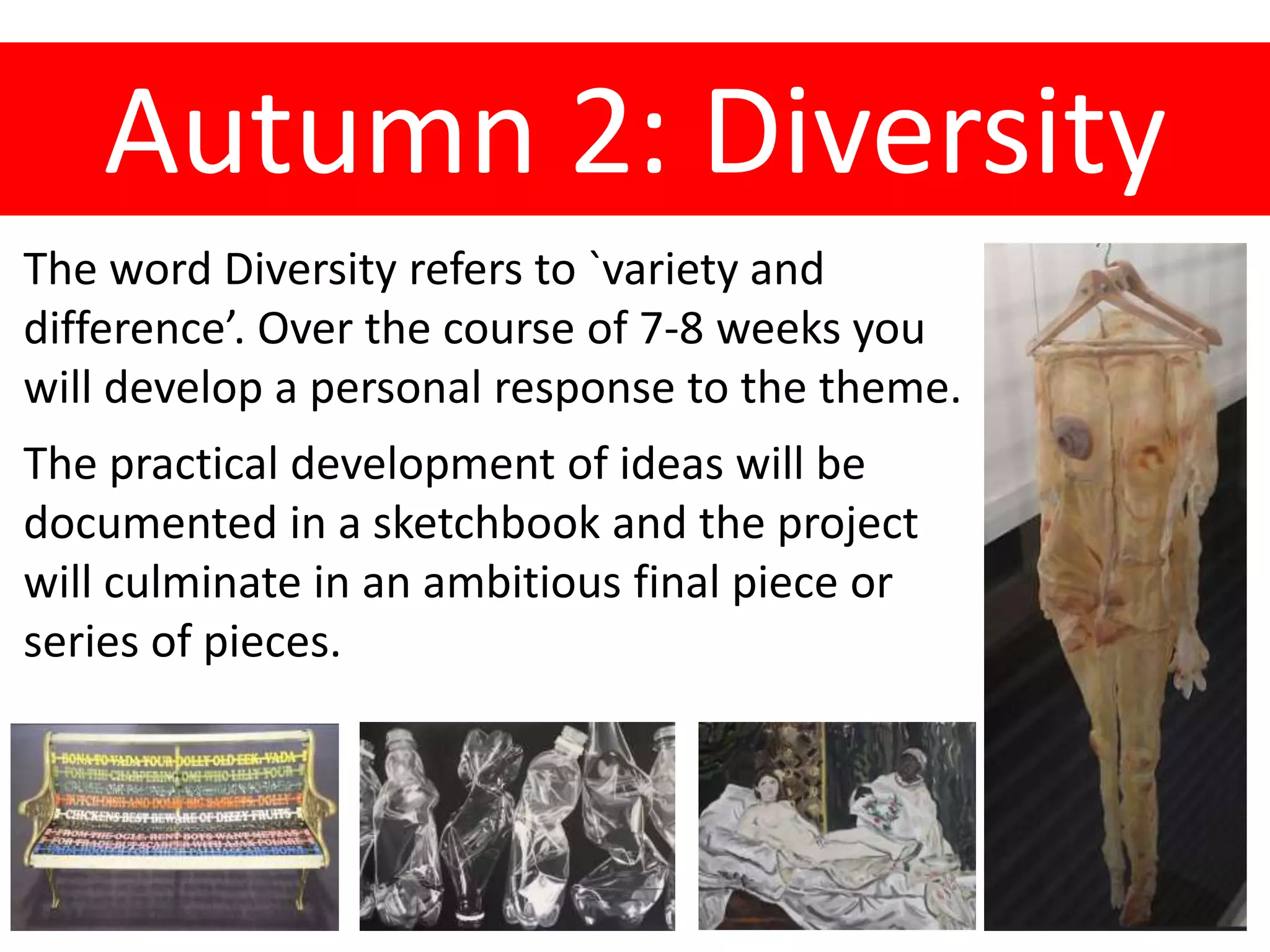 Autumn 2: Diversity
The word Diversity refers to `variety and
difference’. Over the course of 7-8 weeks you
will develop a personal response to the theme.
The practical development of ideas will be
documented in a sketchbook and the project
will culminate in an ambitious final piece or
series of pieces.
 