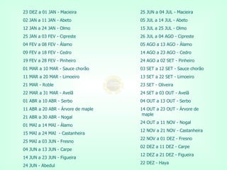 23 DEZ a 01 JAN - Macieira  02 JAN a 11 JAN - Abeto  12 JAN a 24 JAN - Olmo  25 JAN a 03 FEV - Cipreste  04 FEV a 08 FEV - Álamo  09 FEV a 18 FEV - Cedro  19 FEV a 28 FEV - Pinheiro  01 MAR a 10 MAR -  Sauce  chorão  11 MAR a 20 MAR - Limoeiro  21 MAR -  Roble  22 MAR a 31 MAR - Avelã  01 ABR a 10 ABR -  Serbo  11 ABR a 20 ABR - Árvore de  maple  21 ABR a 30 ABR -  Nogal  01  MAI  a 14  MAI  - Álamo  15  MAI  a 24  MAI   - Castanheira 25  MAI  a 03 JUN -  Fresno  04 JUN a 13 JUN - Carpe  14 JUN a 23 JUN - Figueira  24 JUN -  Abedul  25 JUN a 04 JUL - Macieira  05 JUL a 14 JUL - Abeto  15 JUL a 25 JUL - Olmo  26 JUL a 04 AGO - Cipreste  05 AGO a 13 AGO - Álamo  14 AGO a 23 AGO - Cedro  24 AGO a 02 SET - Pinheiro  03 SET a 12 SET -  Sauce  chorão  13 SET a 22 SET - Limoeiro  23 SET - Oliveira  24 SET a 03 OUT - Avelã  04 OUT a 13 OUT -  Serbo 14 OUT a 23 OUT - Árvore de  maple  24 OUT a 11 NOV -  Nogal  12 NOV a 21 NOV - Castanheira  22 NOV a 01 DEZ -  Fresno  02 DEZ a 11 DEZ - Carpe  12 DEZ a 21 DEZ - Figueira  22 DEZ -  Haya  