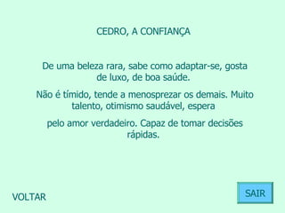 CEDRO, A CONFIANÇA  De uma beleza rara, sabe como adaptar-se, gosta de luxo, de boa saúde.  Não é tímido, tende a menosprezar os demais. Muito talento, otimismo saudável, espera  pelo amor verdadeiro. Capaz de tomar decisões rápidas.  VOLTAR SAIR 