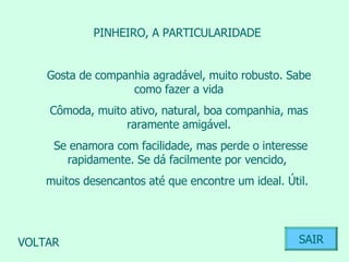 PINHEIRO, A PARTICULARIDADE  Gosta de companhia agradável, muito robusto. Sabe como fazer a vida Cômoda, muito ativo, natural, boa companhia, mas raramente amigável. Se enamora com facilidade, mas perde o interesse rapidamente. Se dá facilmente por vencido,  muitos desencantos até que encontre um ideal. Útil.  VOLTAR SAIR 