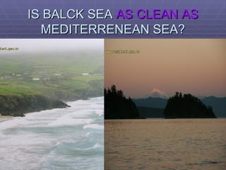 IS BALCK SEA  AS CLEAN AS  MEDITERRENEAN SEA? 