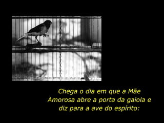 Chega o dia em que a Mãe
Amorosa abre a porta da gaiola e
diz para a ave do espírito:
 