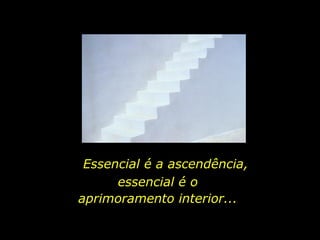 Essencial é a ascendência, essencial é o aprimoramento interior... 