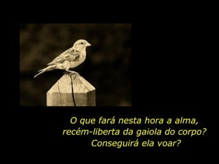 O que fará nesta hora a alma,
recém-liberta da gaiola do corpo?
      Conseguirá ela voar?
 