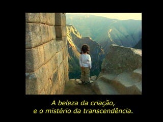 A beleza da criação, e o mistério da transcendência. 