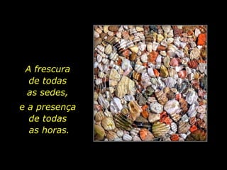 A frescura  de todas  as sedes,  e a presença  de todas  as horas. 