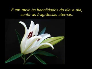 E em meio às banalidades do dia-a-dia, sentir as fragrâncias eternas. 