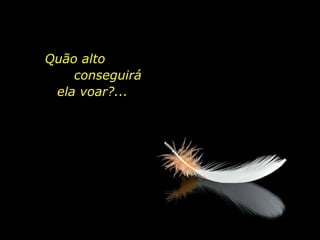 Quão alto  conseguirá  ela voar?... 
