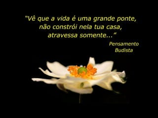 “ Vê que a vida é uma grande ponte,  não constrói nela tua casa,  atravessa somente...” Pensamento Budista 