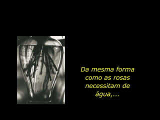 Da mesma forma como as rosas necessitam de água,... 