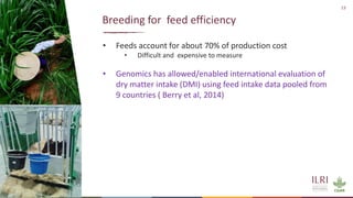 Genetics and genomic approaches for sustainable dairy cattle improvement in smallholder dairy systems