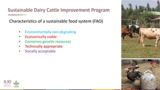 Genetics and genomic approaches for sustainable dairy cattle improvement in smallholder dairy systems
