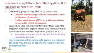 Genetics and genomic approaches for sustainable dairy cattle improvement in smallholder dairy systems