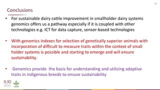 Genetics and genomic approaches for sustainable dairy cattle improvement in smallholder dairy systems