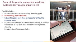Genetics and genomic approaches for sustainable dairy cattle improvement in smallholder dairy systems