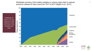 Genetics and genomic approaches for sustainable dairy cattle improvement in smallholder dairy systems