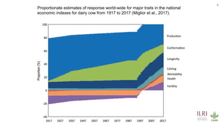 Genetics and genomic approaches for sustainable dairy cattle improvement in smallholder dairy systems