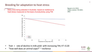 Genetics and genomic approaches for sustainable dairy cattle improvement in smallholder dairy systems