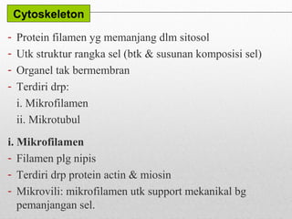 ASAS ANATOMI & FISIOLOGI - Peringkat Sel | PPT