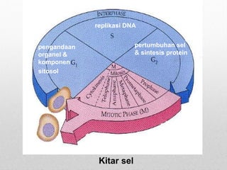 ASAS ANATOMI & FISIOLOGI - Peringkat Sel | PPT