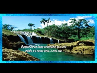 O nosso corpo físico assemelha-se a uma
gaiola, e a nossa alma, a uma ave.

 